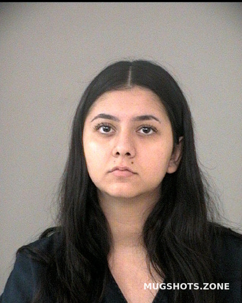 Ziari Setareh 12 20 2023 Fort Bend County Mugshots Zone