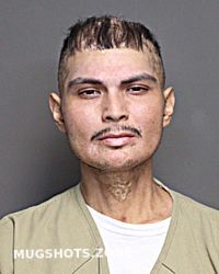 BENITEZ SERGIO GUADALUPE 11/12/2024 - Franklin County Mugshots Zone