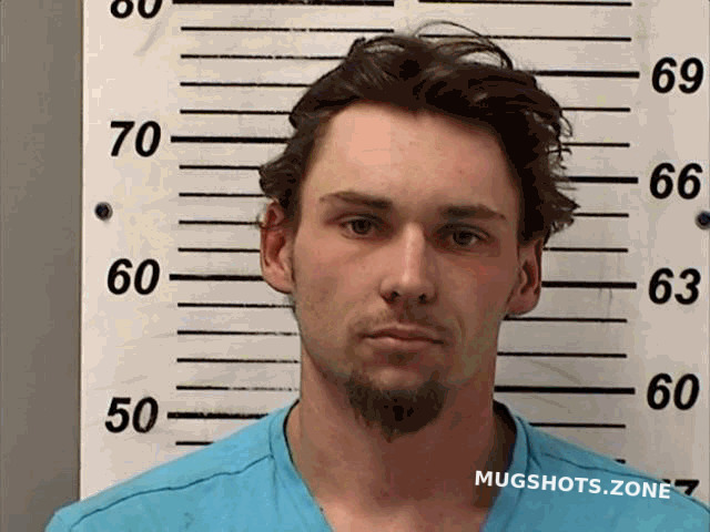 HAAS ALAN MICHAEL 04/20/2024 - Fulton County Mugshots Zone