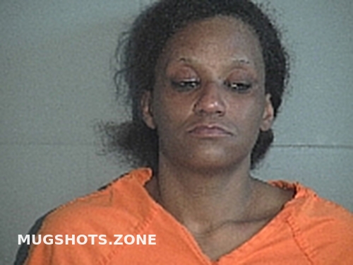 ARMSTRONG AMBER RENEE 02/11/2024 - Gallia County Mugshots Zone