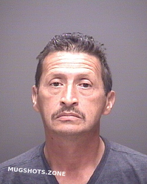 LANDA JAVIER . 01/22/2021 Galveston County Mugshots Zone