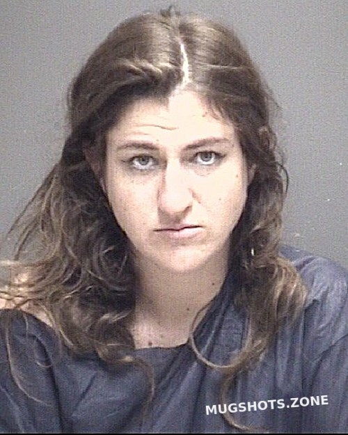 Slingerland Kayla Ellen Galveston County Mugshots Zone