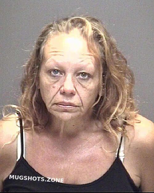 Rogan Stacy Lynn 11102022 Galveston County Mugshots Zone