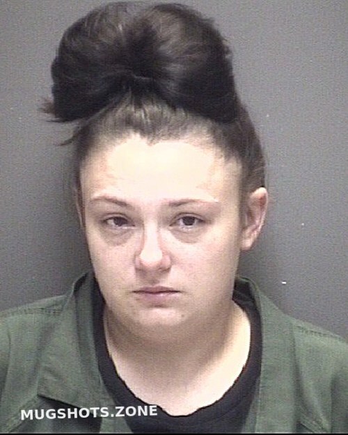 NELSON BRENDA BAHBE LYNN 01/29/2023 - Galveston County Mugshots Zone