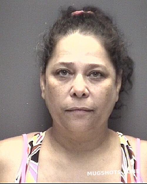 GENTRY THERESA LOUISE 07/02/2023 Galveston County Mugshots Zone