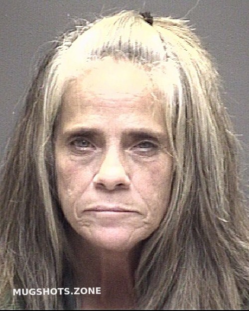 DREY APRIL DEANNA 10/02/2023 Galveston County Mugshots Zone