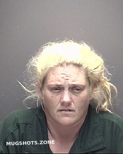 BROWN HEATHER NICOLE 12/01/2023 - Galveston County Mugshots Zone