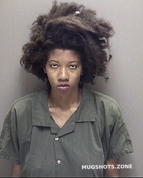 Johnson Jakara Nicole 12 28 2023 Galveston County Mugshots Zone