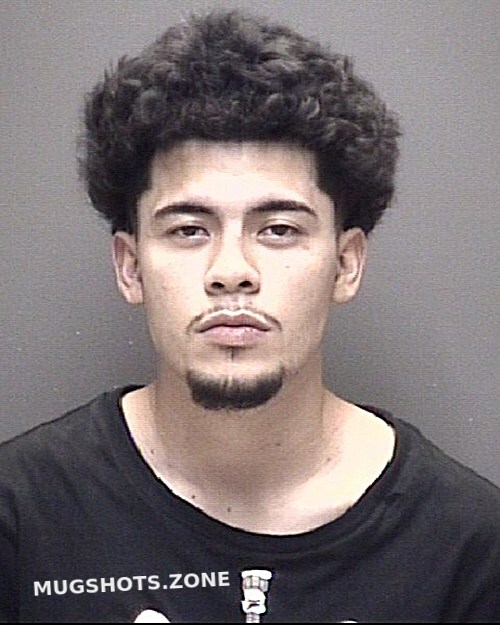 ESPINOSA ARTURO 01/01/2024 Galveston County Mugshots Zone