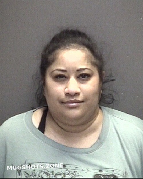 Golikeri Rima Sudhir 01 07 2024 Galveston County Mugshots Zone