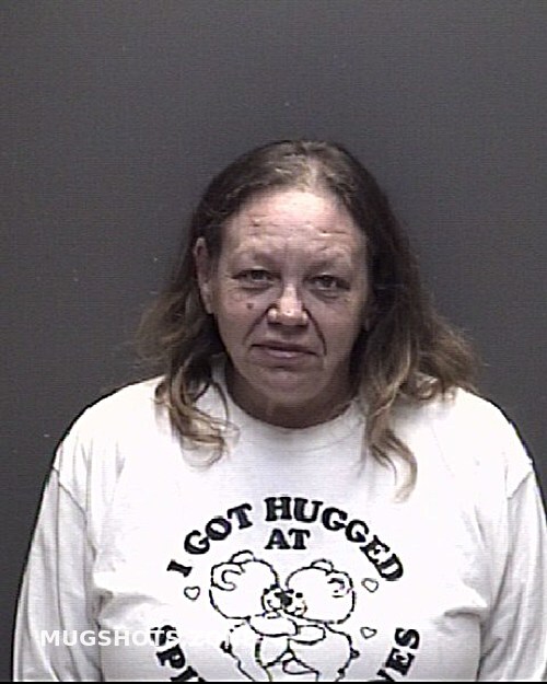 Rogan Stacy Lynn 01182024 Galveston County Mugshots Zone