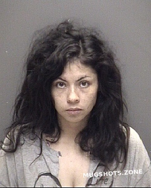 SALAZAR TAPIA GISELLE . 03/13/2024 Galveston County Mugshots Zone