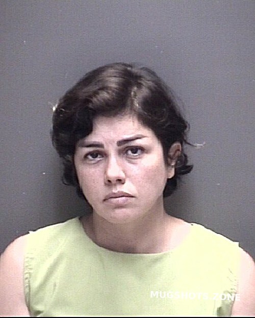 Jalali Seyedehzohreh 06 23 2024 Galveston County Mugshots Zone