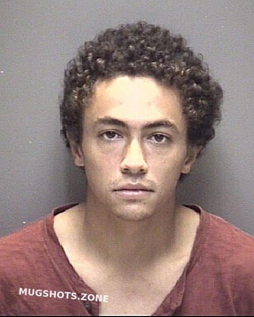 LINBRUGGER KENDALL ALEXANDER 08/09/2024 - Galveston County Mugshots Zone