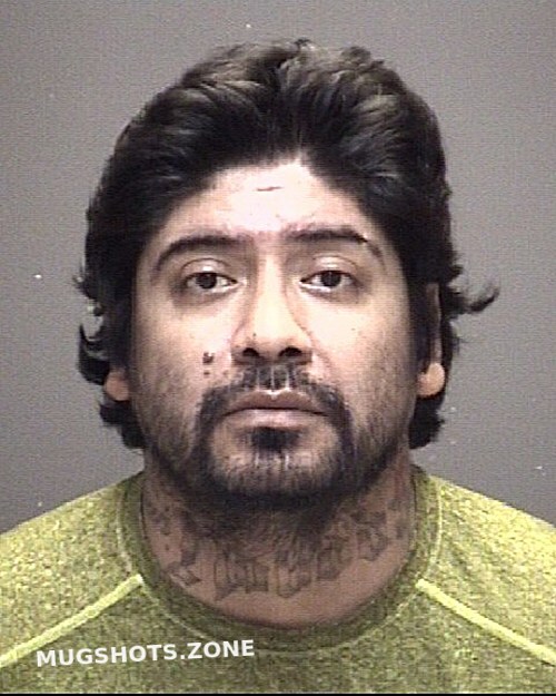 ALVARADO GUADALUPE PANIAGUA 12/24/2024 Galveston County Mugshots Zone(03)