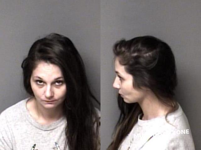 Harwood Ashley Anne 10 03 2022 Gaston County Mugshots Zone