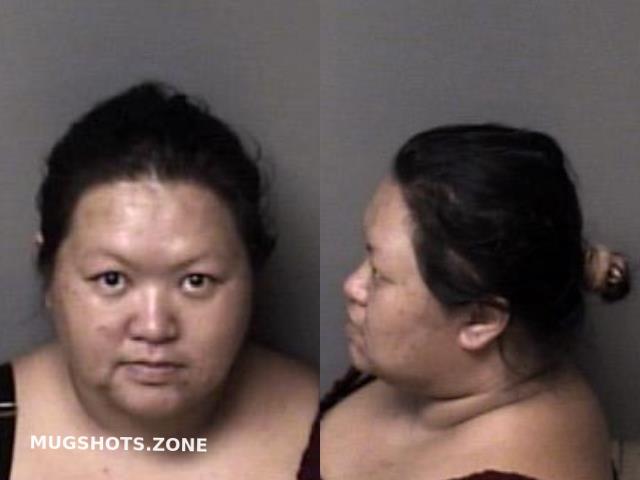 Chasengnou Nancy 10 18 2022 Gaston County Mugshots Zone