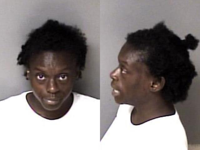 Johnson Jessica Renee 07 08 2023 Gaston County Mugshots Zone