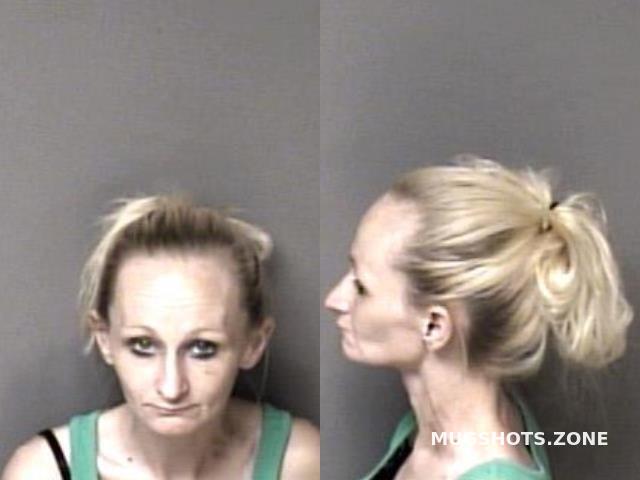 Hayes Sandra 08 16 2023 Gaston County Mugshots Zone