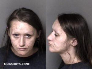 HICKS TIFFANY NICHOLE 10/18/2023 - Gaston County Mugshots Zone