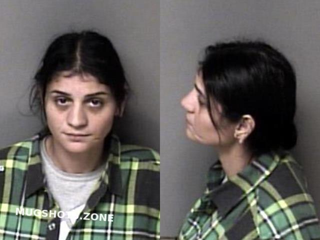 Lacatus Steluta 11 14 2023 Gaston County Mugshots Zone