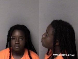 PHILLIPS CIARA NICOLE 06/28/2024 - Gaston County Mugshots Zone