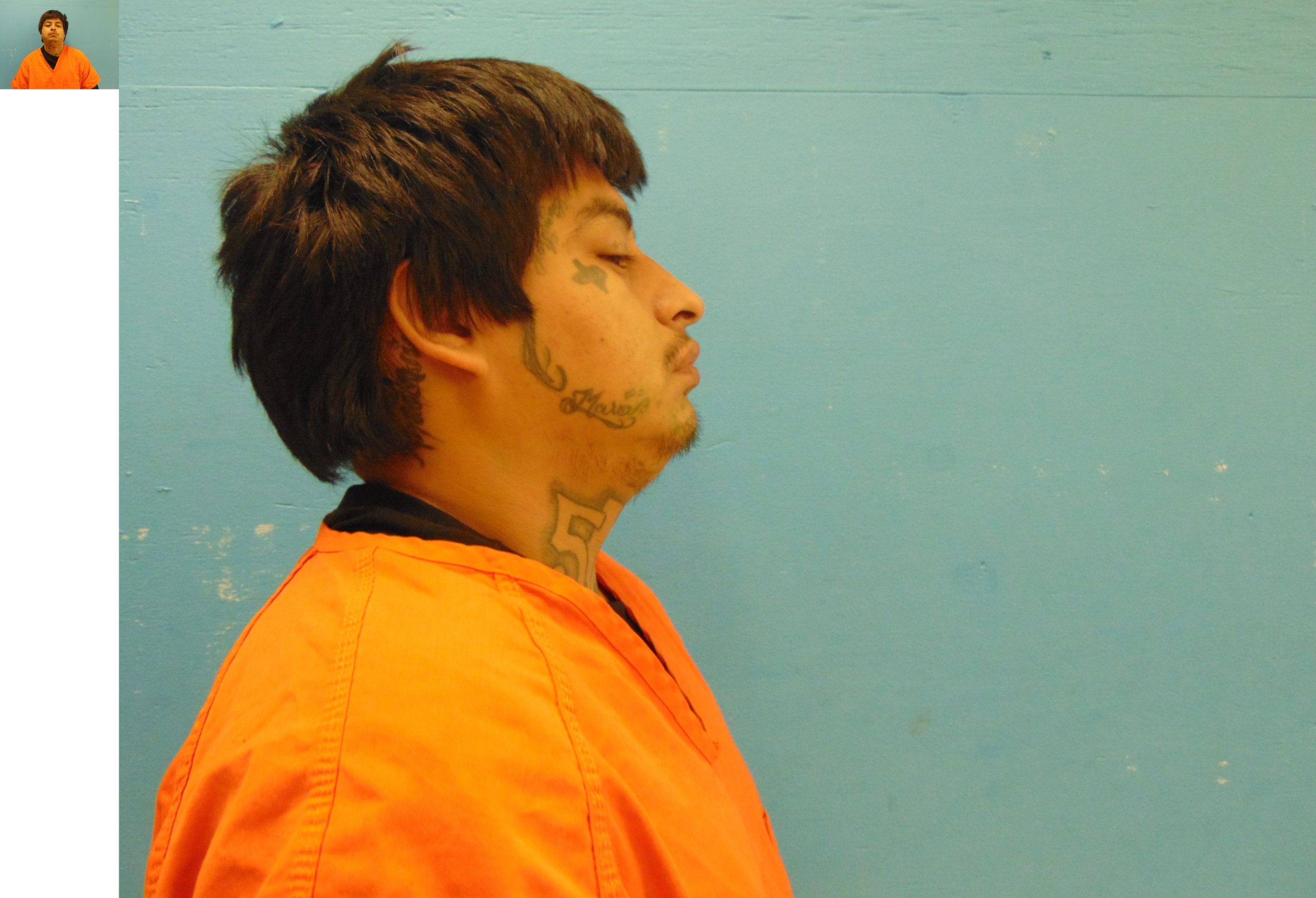 Say Cheese Guadalupe County Mugshots: The Ultimate Resource - pl0dxya