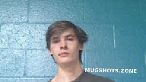 PAINTER EVAN LUCAS 06/17/2024 - Halifax County Mugshots Zone