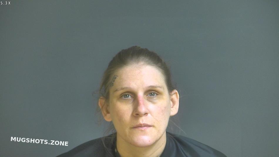 WILSON ANDREA DAWN 01/28/2025 Halifax County Mugshots Zone