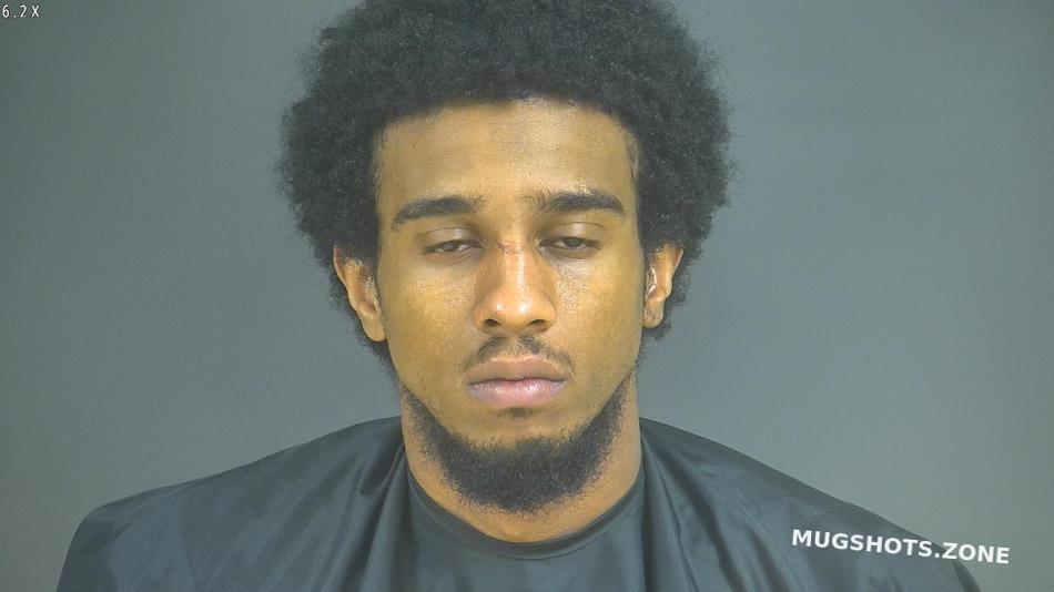 HIMMELSTEIN SHANNON KING 05/12/2025 Halifax County Mugshots Zone