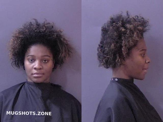 DAVIS ARIONNA CHRISTINE 03/11/2023 - Hamilton County Mugshots Zone