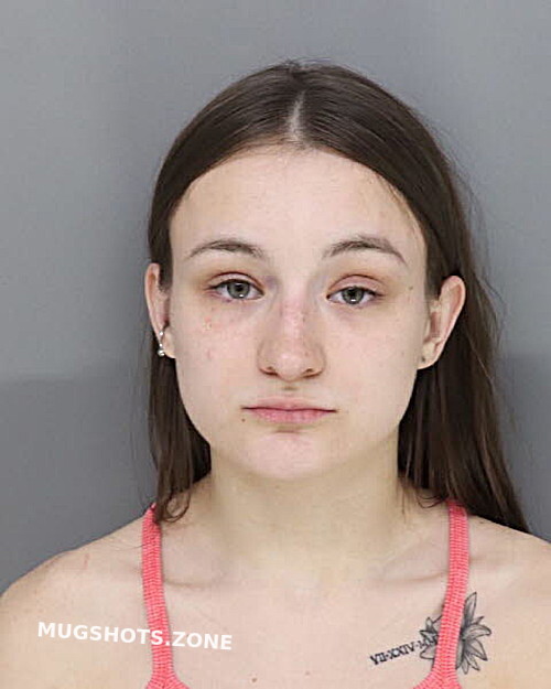 DAVIS KAYLEE 04/11/2023 Hamilton County Mugshots Zone