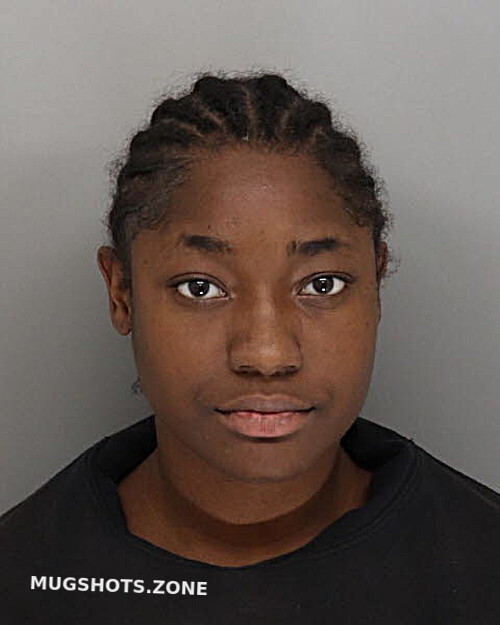 Finley Ayana 11 09 2023 Hamilton County Mugshots Zone