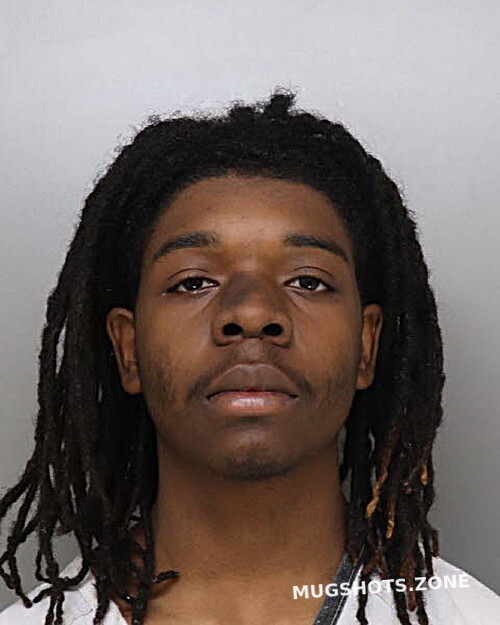 WHITE DAVONTAY 11/15/2023 - Hamilton County Mugshots Zone