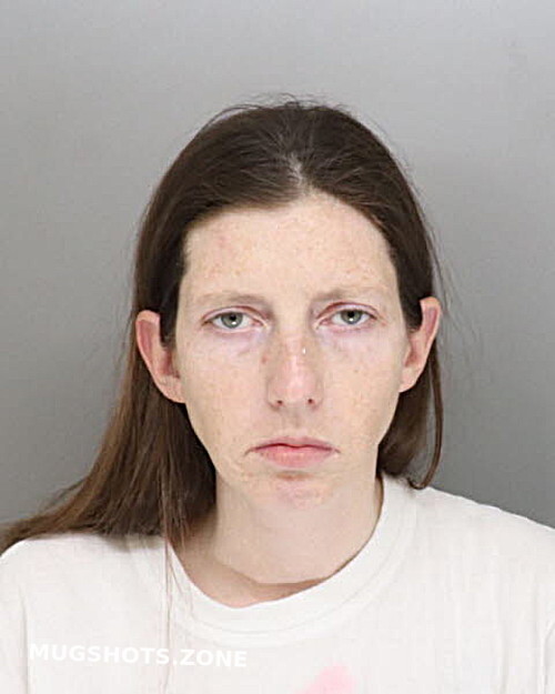 CONDOS ANDREA 11/20/2023 Hamilton County Mugshots Zone