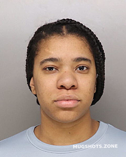 JOHNSON DANA 12/30/2023 Hamilton County Mugshots Zone