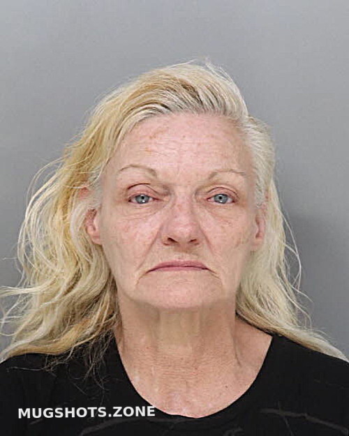 CORDELL SHERRI 03/23/2024 - Hamilton County Mugshots Zone