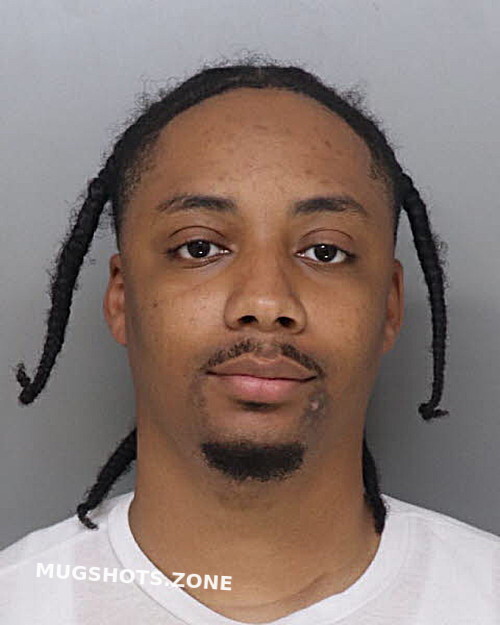 JOHNSON ALBERT 05/11/2024 Hamilton County Mugshots Zone