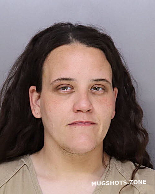 MCBRIDE STEPHANIE 08/12/2024 Hamilton County Mugshots Zone