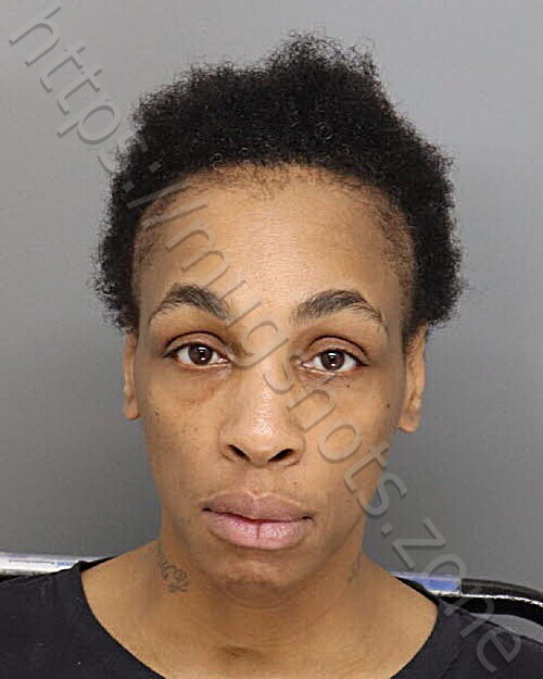 REED TAMIKA 03/11/2026 - Hamilton County Mugshots Zone