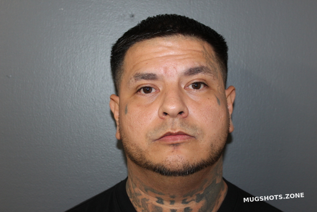 BORJAS CATARINO DARIO 11/17/2021 - Hardee County Mugshots Zone