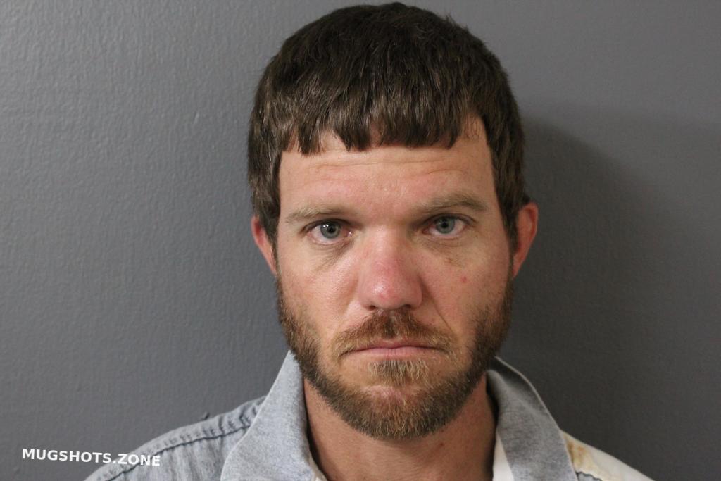 RAULERSON RYAN TYLER 07/15/2022 - Hardee County Mugshots Zone