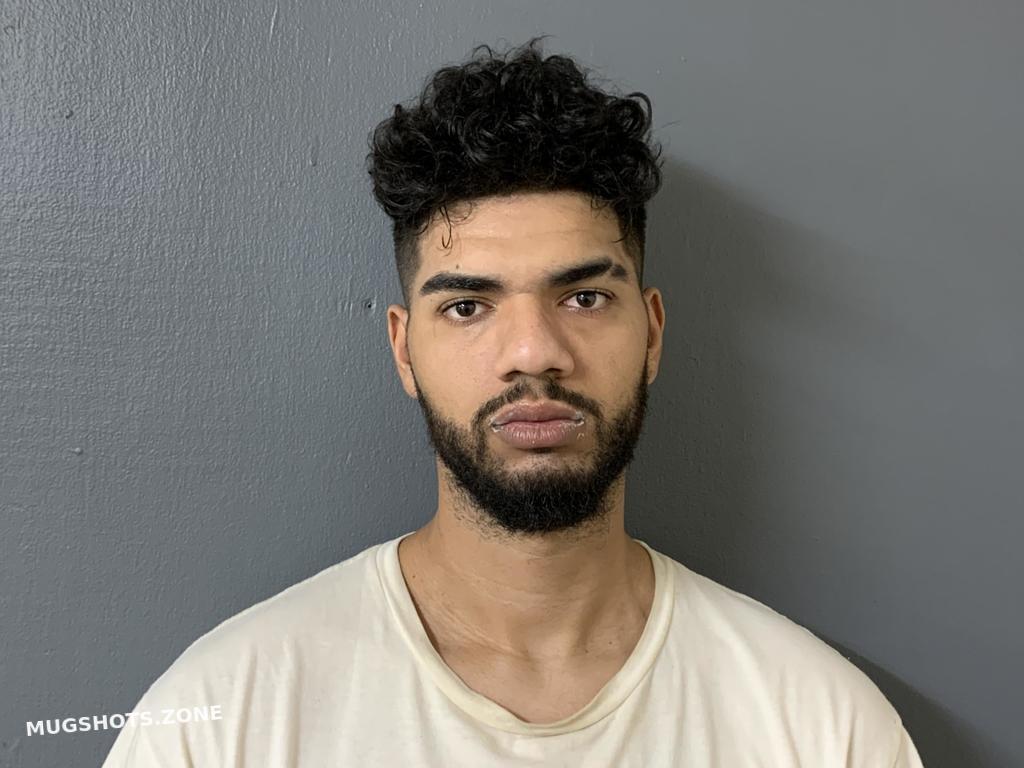 BROWN REGGIE ALLEN 08/13/2023 Hardee County Mugshots Zone