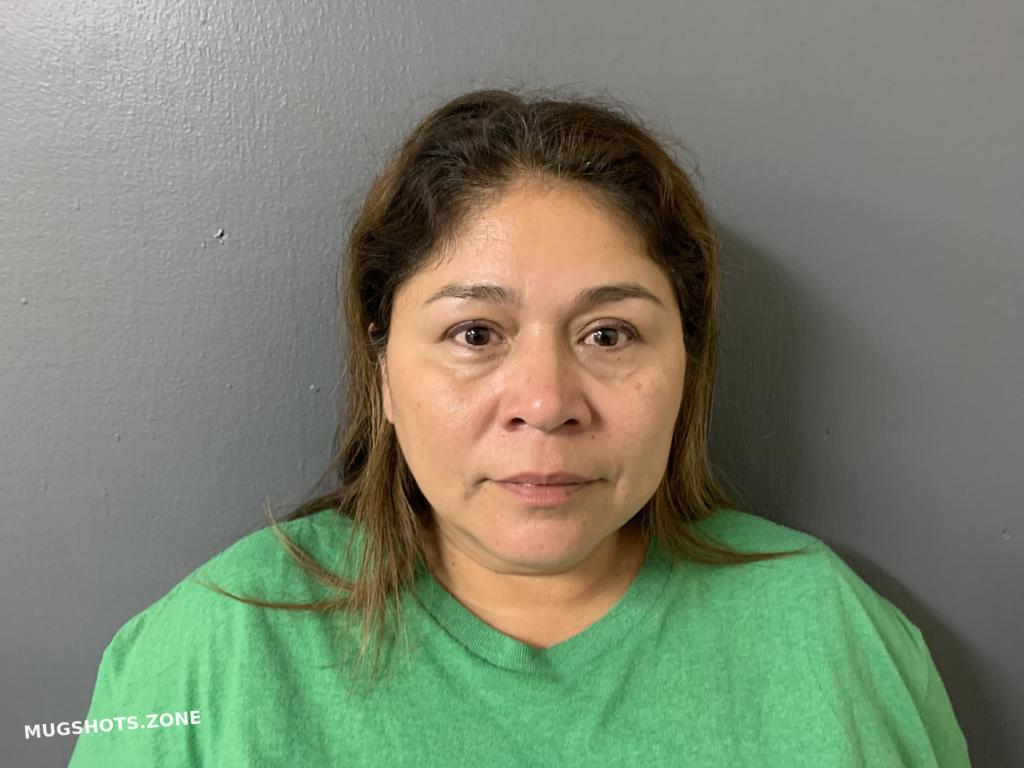 CARRILLO JUANITA 01/27/2024 - Hardee County Mugshots Zone