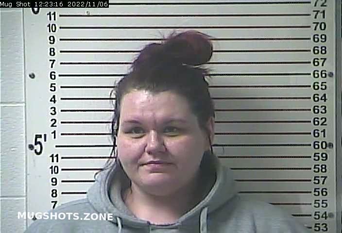 FIELDS JESSICA DAWN 11/06/2022 - Hardin County Mugshots Zone