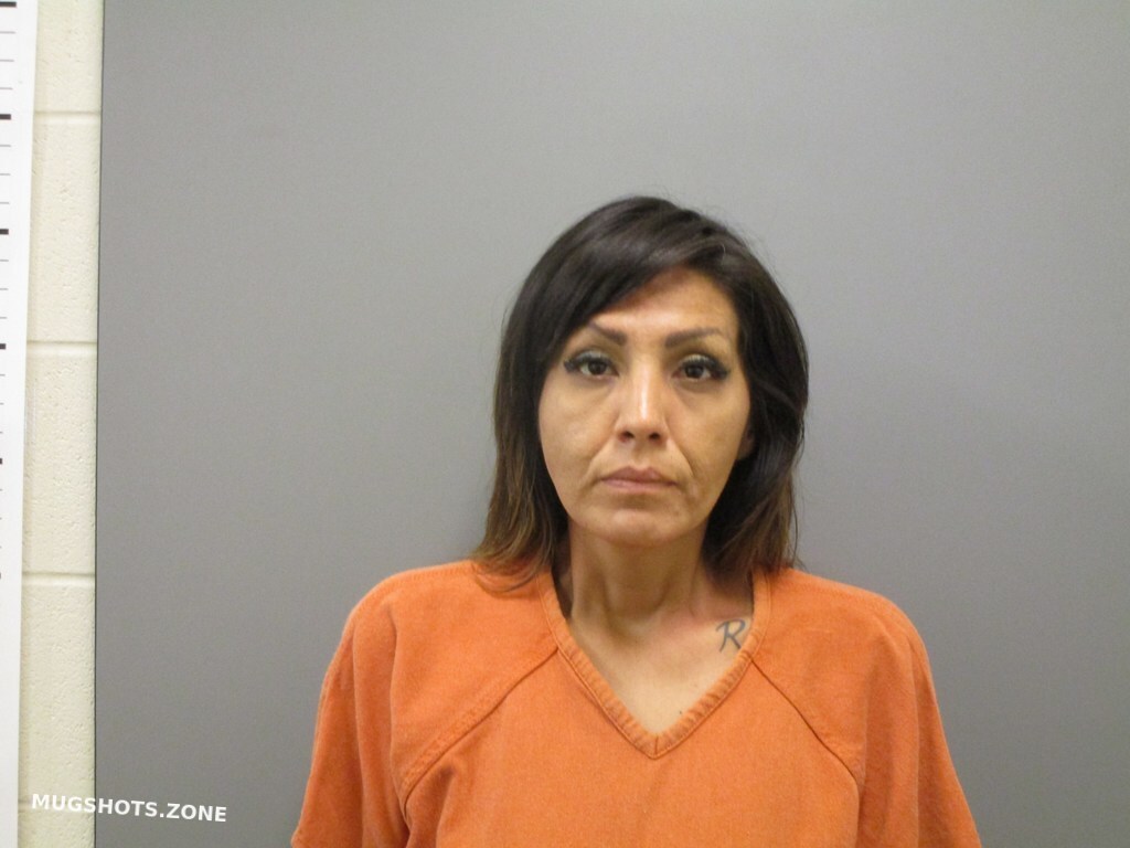 REYNA DIANNA JESSICA 10/19/2022 - Harris County Mugshots Zone