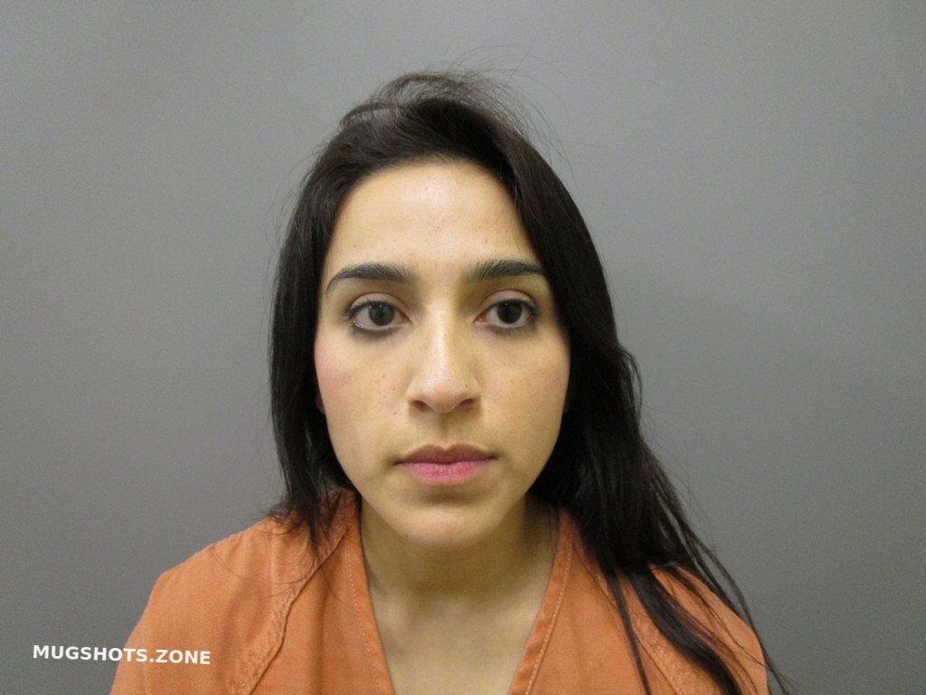 Demeritt Ashley Nicole 01312023 Harris County Mugshots Zone 1769