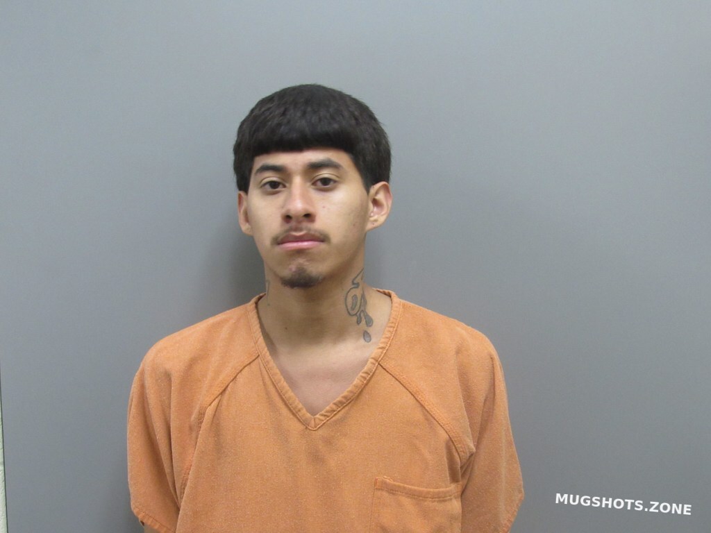 BALTAZAR LUIS F 11/11/2023 Harris County Mugshots Zone