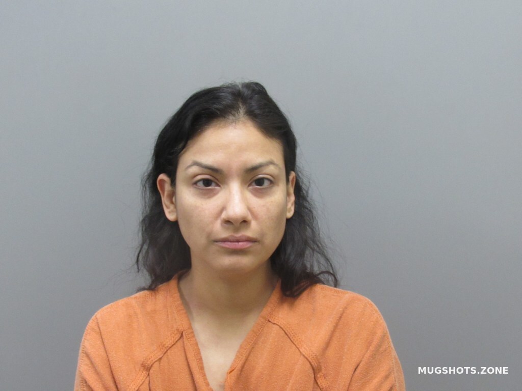 Champion Jennifer 11132023 Harris County Mugshots Zone