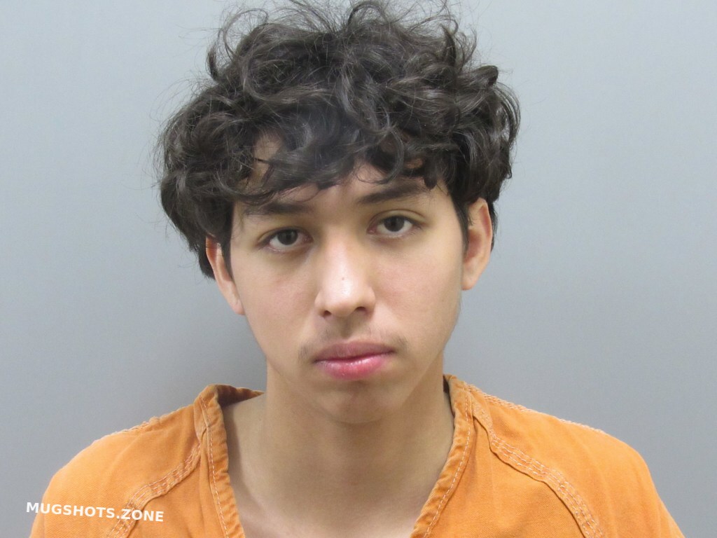 GONZALES GUADALUPE 12/07/2023 Harris County Mugshots Zone(02)